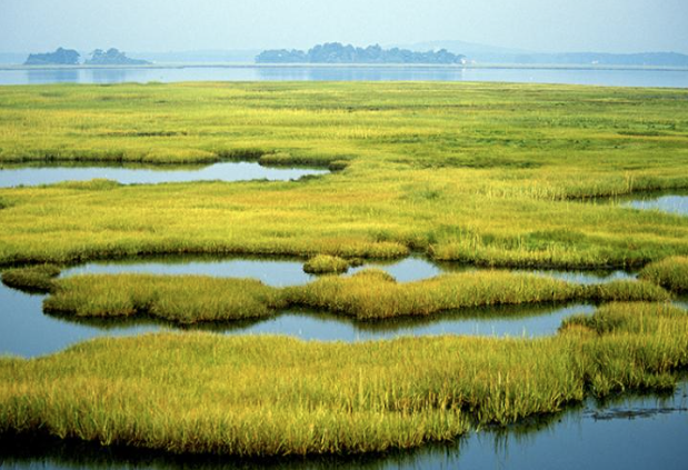 Natural methane sources and sinks in wetlands, soils, lakes, and high-latitude ecosystems
